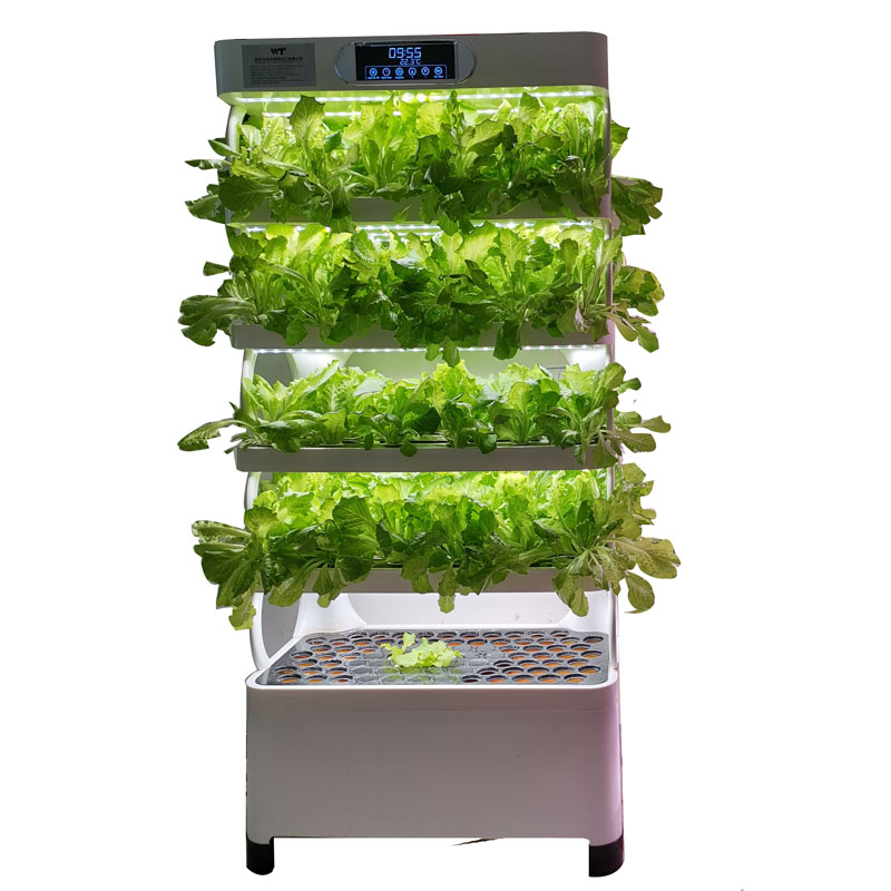 Умная вертикальная гидропонная – обзор и цена Smart Garden Indoor